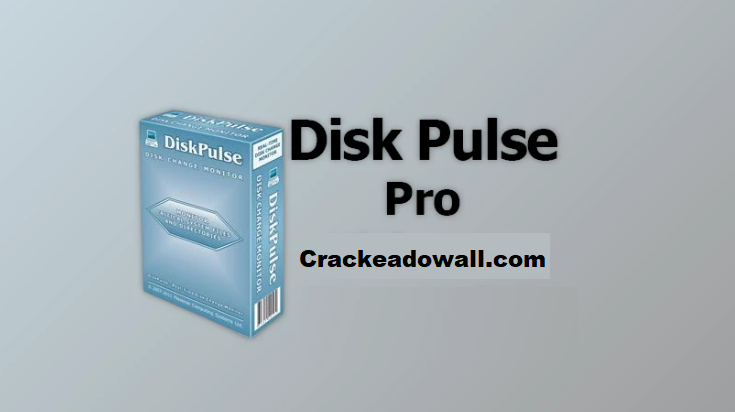 Disk Pulse Pro Crackeado